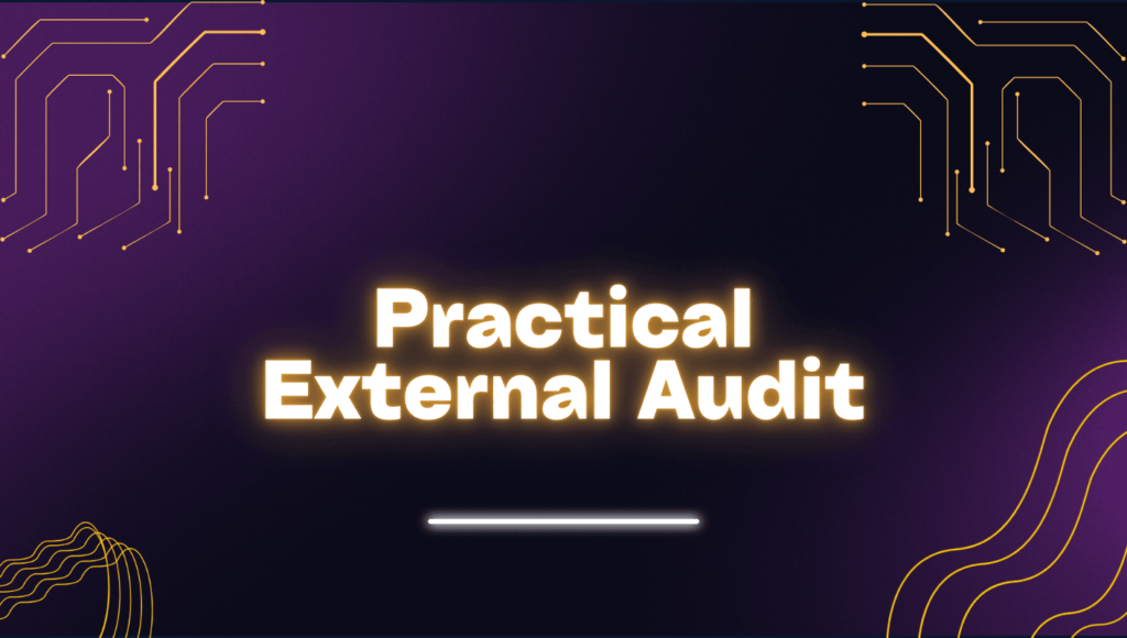 Practical External Audit