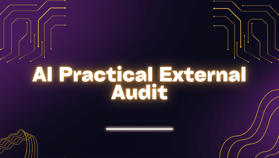 ai practical external audit